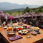 Vinifera Vineyards Vendégház