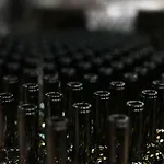 Vendégház Vinifera Vineyards