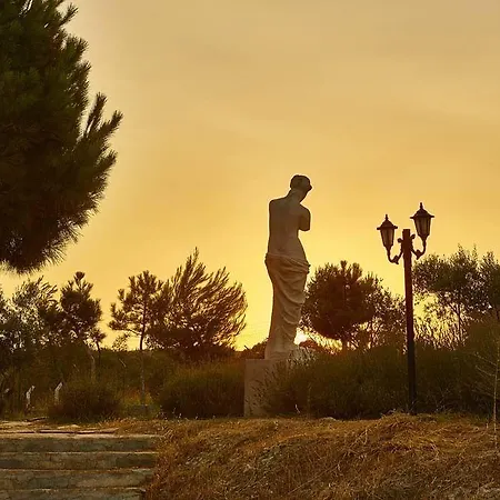 Vinifera Vineyards 招待所