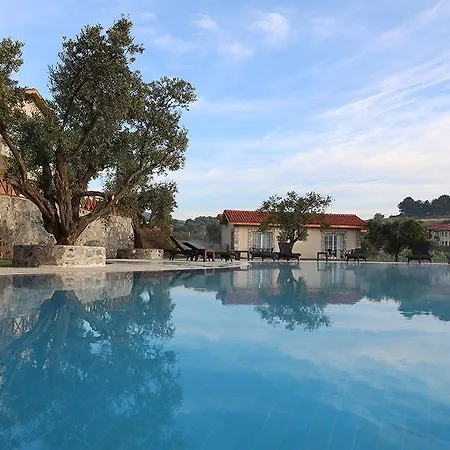 Vinifera Vineyards Πανσιόν 4*