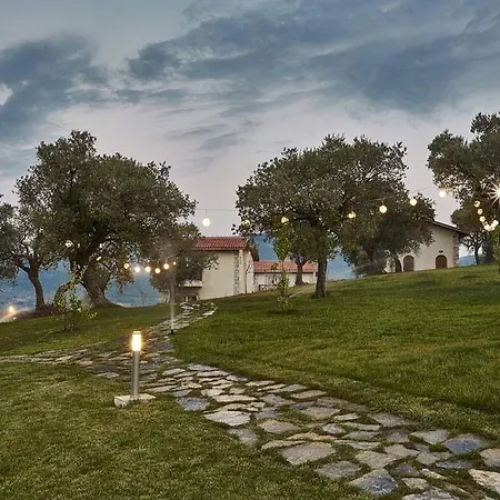 Vinifera Vineyards 招待所