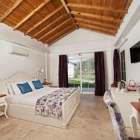Πανσιόν Vinifera Vineyards Σελτσούκ