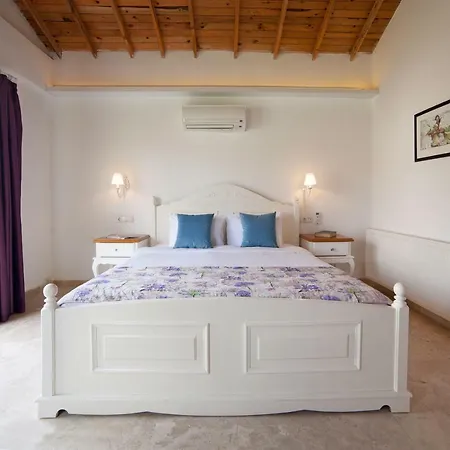 Vinifera Vineyards Πανσιόν 4*