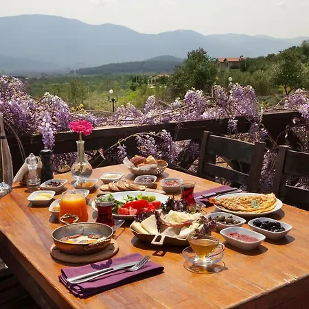 Vinifera Vineyards Πανσιόν