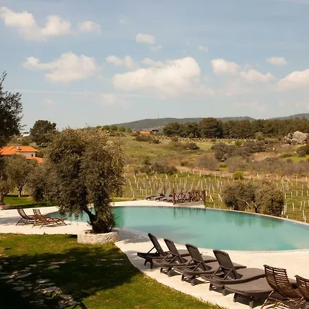 Vinifera Vineyards 4* Σελτσούκ