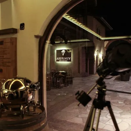 Vinifera Vineyards 4* 塞尔丘克