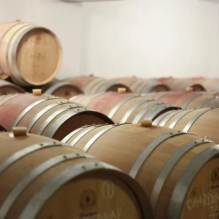 Vinifera Vineyards 4* 塞尔丘克