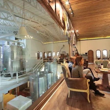 Vinifera Vineyards Πανσιόν 4*