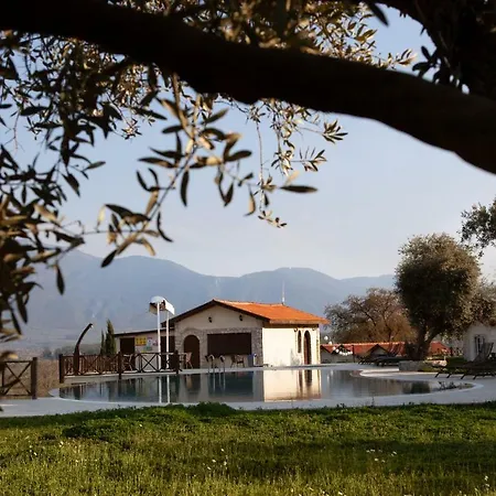 Πανσιόν Vinifera Vineyards 4*