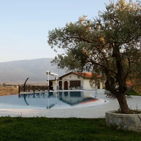 Vinifera Vineyards 招待所