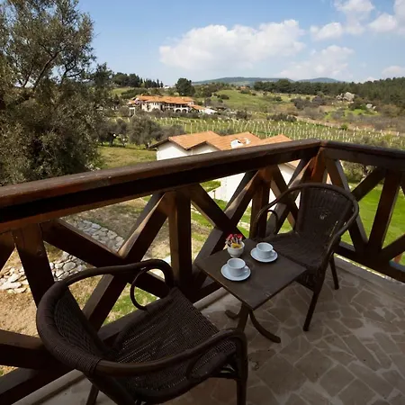 Vinifera Vineyards 4* Σελτσούκ