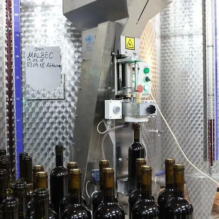 Vinifera Vineyards Πανσιόν