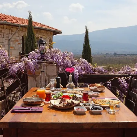 Πανσιόν Vinifera Vineyards 4*