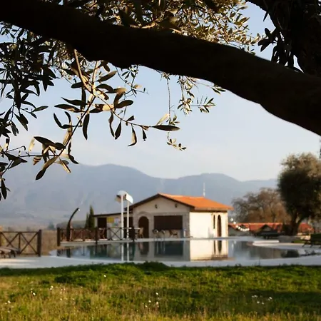 Vinifera Vineyards 招待所 4*