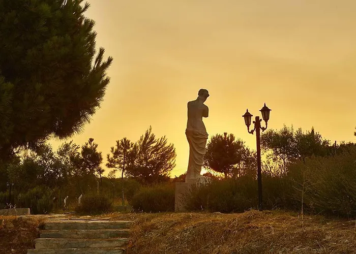 Vinifera Vineyards Maison d'hôtes