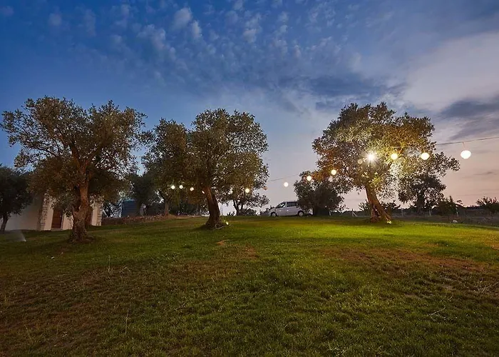 Vinifera Vineyards Selçuk