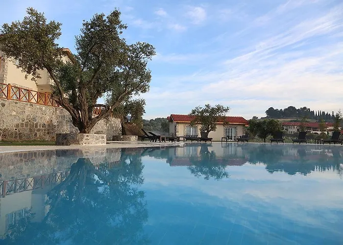 Vinifera Vineyards Maison d'hôtes 4*