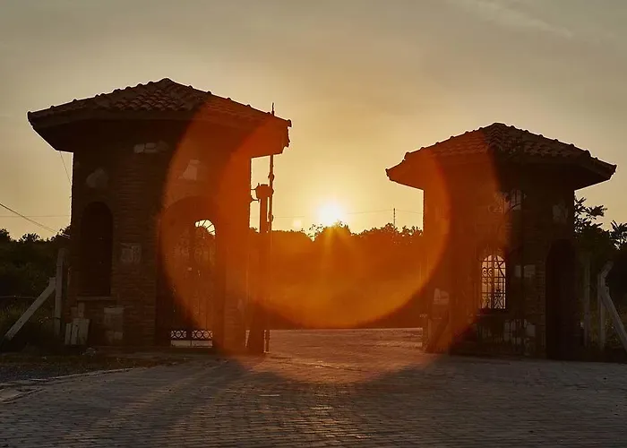 Vinifera Vineyards Selçuk