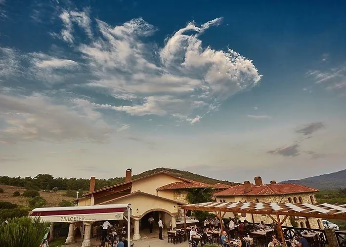 Vinifera Vineyards 4*