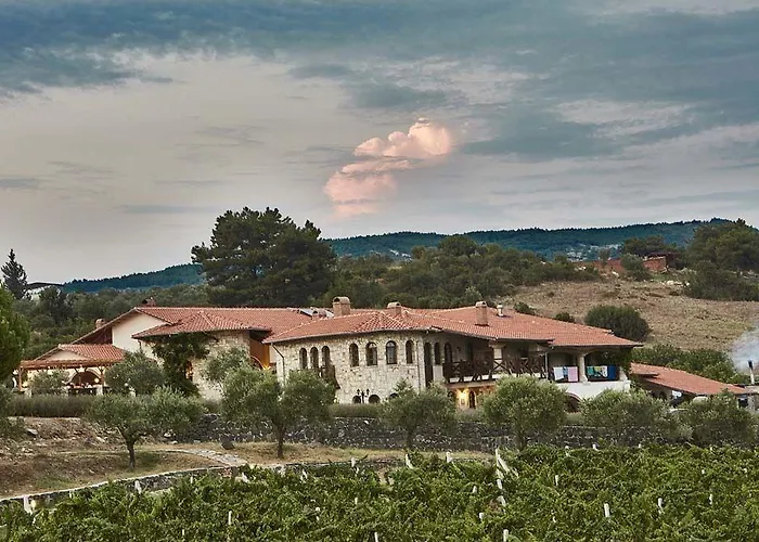 Vinifera Vineyards