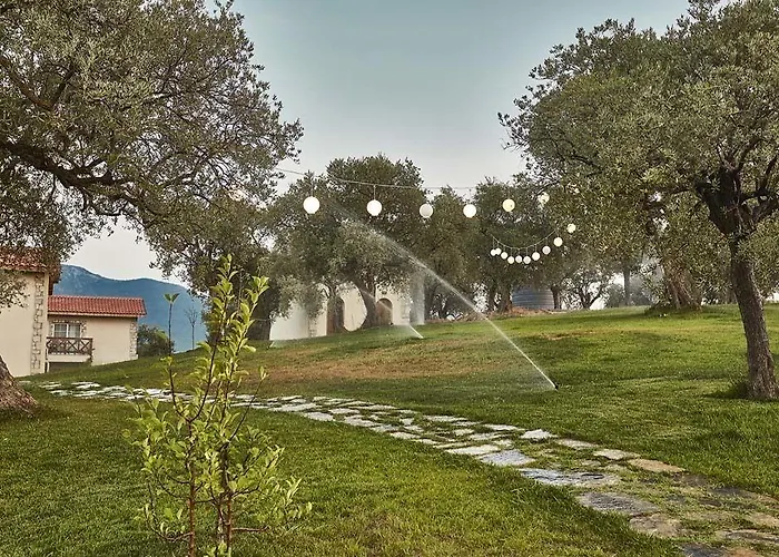 Vinifera Vineyards Selçuk