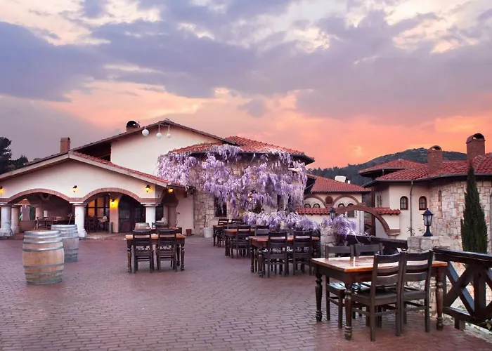 Maison d'hôtes Vinifera Vineyards Selçuk