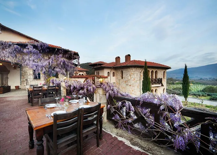 Vinifera Vineyards Maison d'hôtes Selçuk