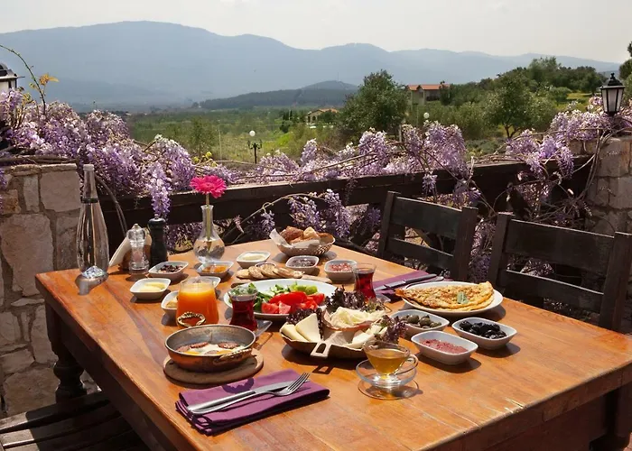 Vinifera Vineyards Gasthof