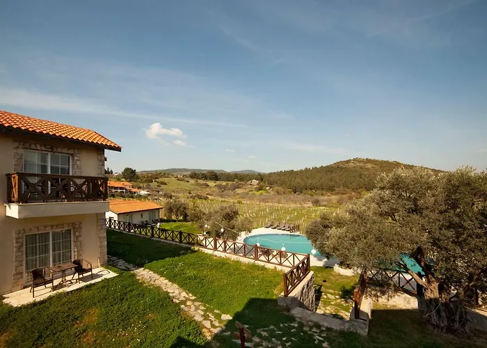 Vinifera Vineyards Selçuk