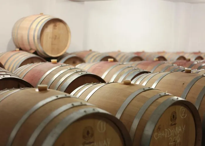 Vinifera Vineyards 4* Selçuk