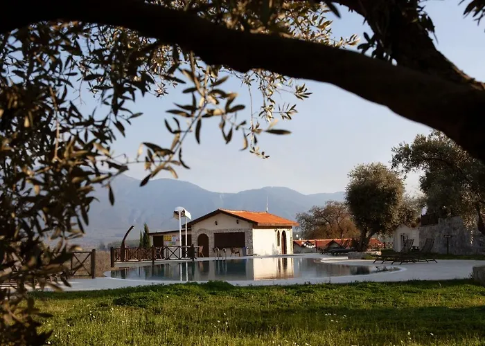 Maison d'hôtes Vinifera Vineyards 4*