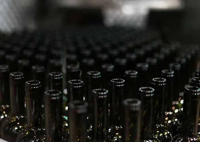 Maison d'hôtes Vinifera Vineyards