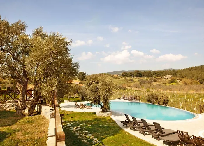 Maison d'hôtes Vinifera Vineyards Selçuk