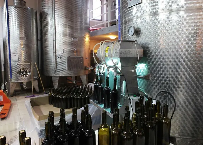 Maison d'hôtes Vinifera Vineyards Selçuk