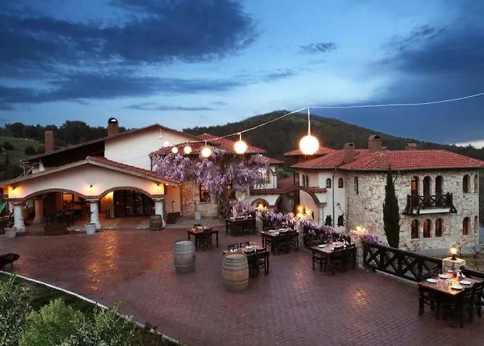 Vinifera Vineyards Maison d'hôtes Selçuk