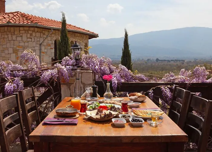 Maison d'hôtes Vinifera Vineyards 4*