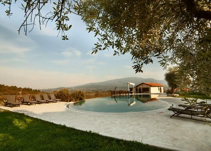 Vinifera Vineyards 4*