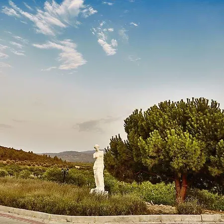 Vinifera Vineyards 4*