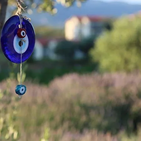 Gæstehus Vinifera Vineyards 4*