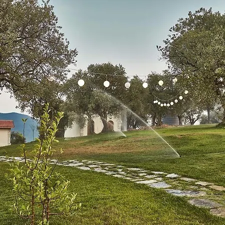 Vinifera Vineyards Selçuk