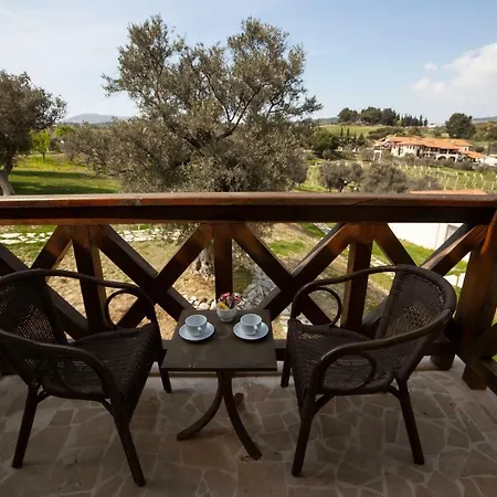 Guest house Vinifera Vineyards 3*