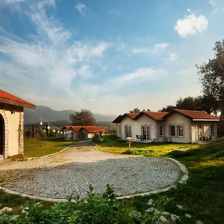 Vinifera Vineyards Pensión Selçuk