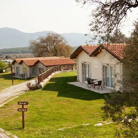 Guest house Vinifera Vineyards
