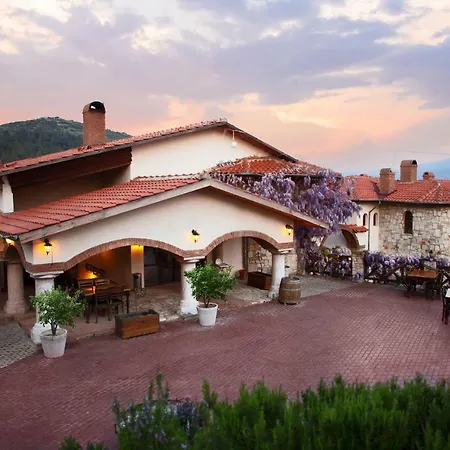Vinifera Vineyards Selcuk