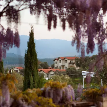 Vinifera Vineyards
