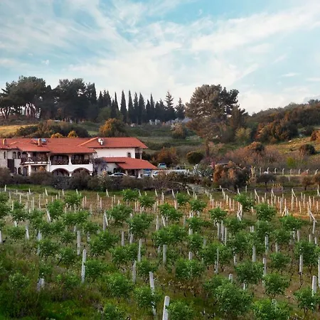 Vinifera Vineyards Guest house 3*