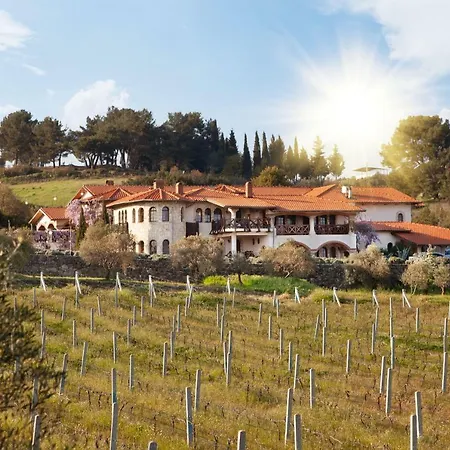 Vinifera Vineyards Guest house