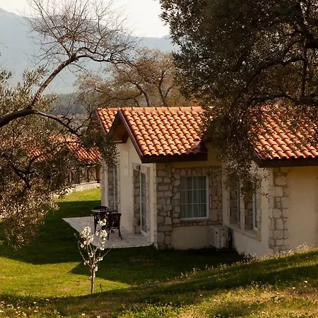 Vinifera Vineyards Selcuk