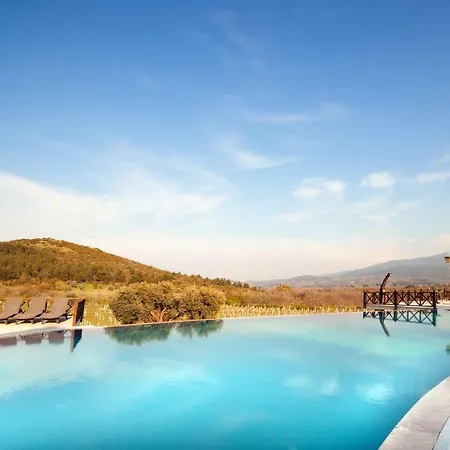 Vinifera Vineyards 4*