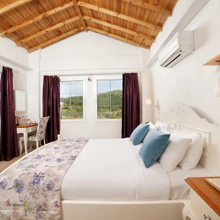 Vinifera Vineyards Guest house